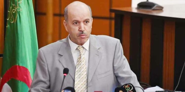 سايحي يدعو إلى عمل موحد لمواجهة انعكاسات أزمة المناخ