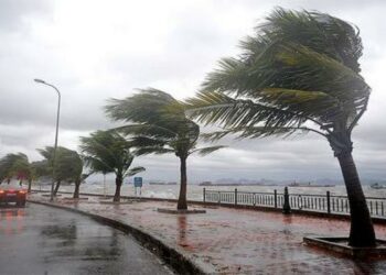 أمطار رعدية ورياح بـعدة ولايات