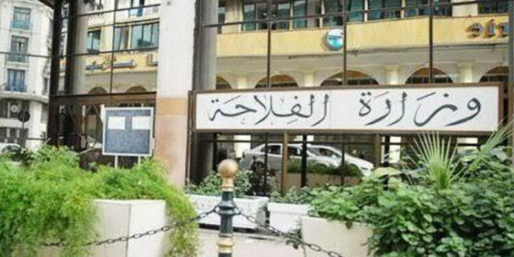 وزارة الفلاحة توظف
