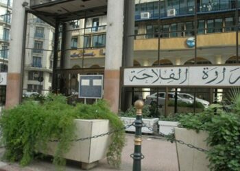 مرض النزف الوبائي للماشية.. وزارة الفلاحة تُوضّح