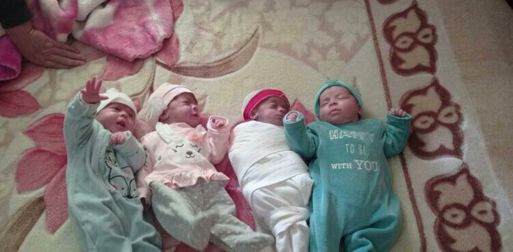 سيدة تنجب 4 توائم في المشرية