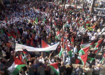 مسيرات الجزائر نصرة لفلسطين..