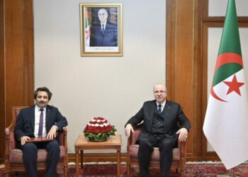 الوزير الأول يتحادث مع سفير تركيا بالجزائر