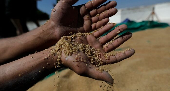 90 ألف فلاح متضرر من الجفاف في 34 ولاية