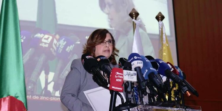 دحلب: آثار منجم أميزور البيئية أخذت بعين الاعتبار