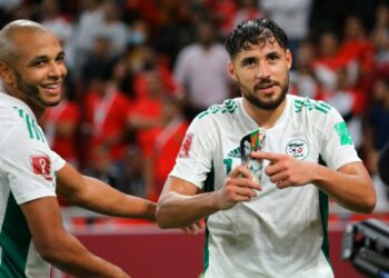 بلماضي: أتابع ما يقدمه بلايلي وبراهيمي