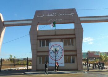 جامعيون: الاستقرار السياسي والأمني رافد للأمن الغذائي