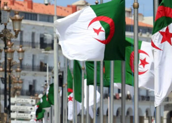 الجزائر عضو بلجنة حقوق الإنسان العربية