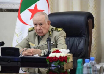 الفريق أول شنقريحة يفتتح يوم “كبار الشخصيات” لـ”تمرين كيميائي إفريقيا”