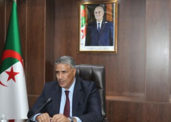 الجزائر مستعدة لتقاسم تجربتها مع الشركاء الأفارقة في مجال السكن