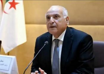 عطاف يشارك في لقاء تشاوري حول مجلس الأمن