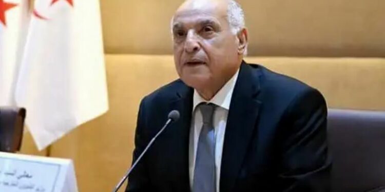 عطاف يشارك في لقاء تشاوري حول مجلس الأمن