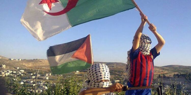 نوفمبر يا فلسطين..