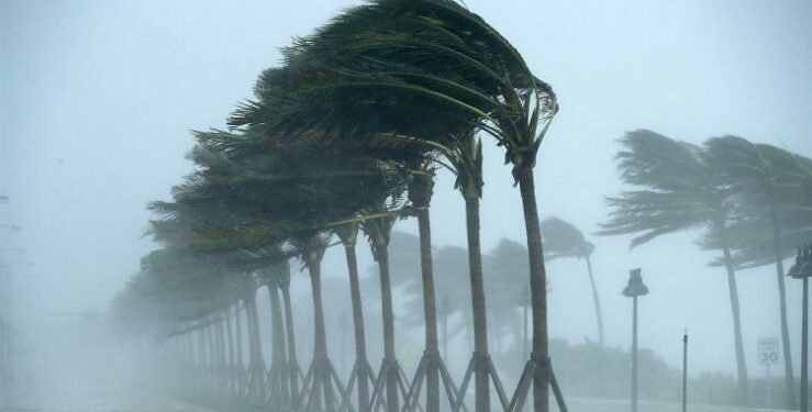رياح قوية في 13 ولاية يومي الخميس والجمعة
