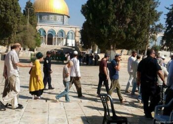 عشرات المستوطنين الصهاينة يقتحمون المسجد الأقصى
