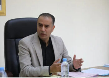 صادي يجتمع مع نظيره الموزمبيقي