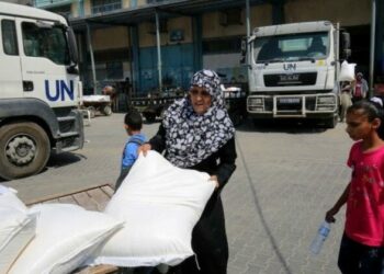 الأمم المتحدة: وصول 61 شاحنة مساعدات إلى شمال غزة