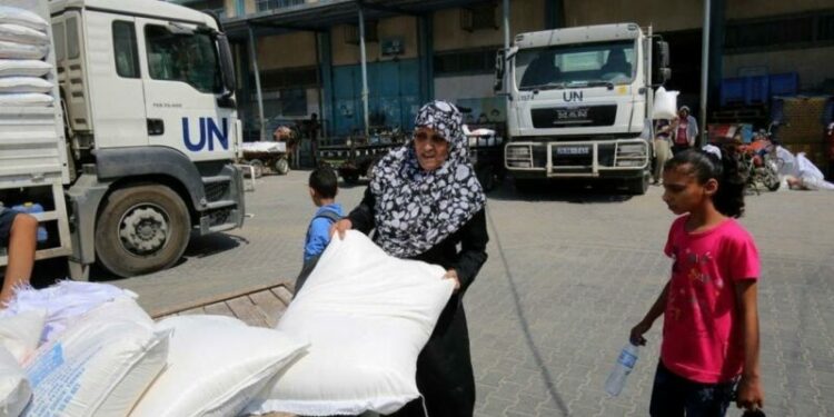 الأمم المتحدة: وصول 61 شاحنة مساعدات إلى شمال غزة