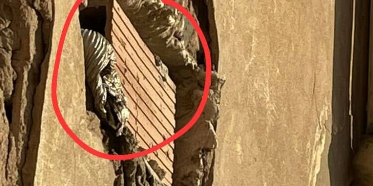 وفاة امرأتين اختناقا بالغاز في وهران