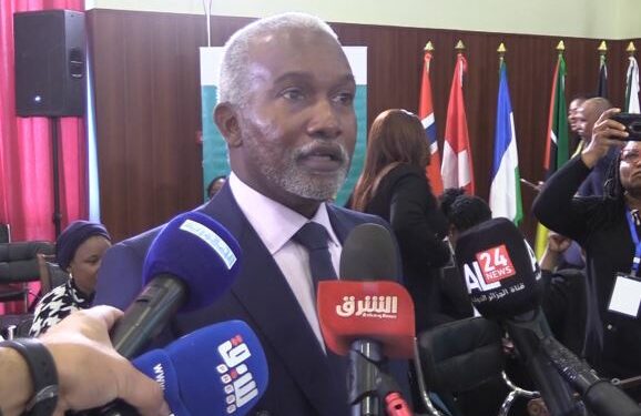 وزير خارجية نيجيريا: مشروع أنبوب الغاز العابر للصحراء يعرف تقدما كبيرا