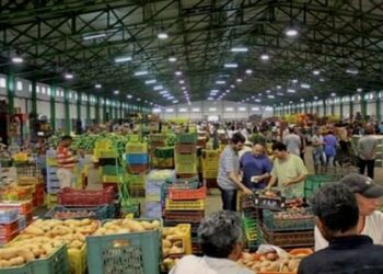تعليمات زيتوني بخصوص أسواق الجملة