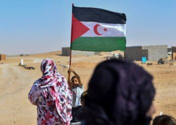 إنهاء الاستعمار في الصحراء الغربية شرط أساسي لاستقرار شمال إفريقيا