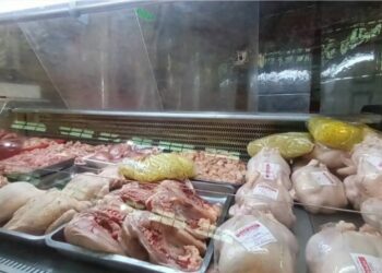 أسعار الدواجن.. ارتفاع غير مبرر رغم تحرك السلطات الوصية