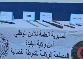وضع حد لعصابات أحياء بالبليدة