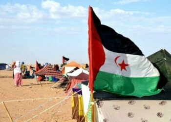 دعوات للحد من نهب الثروات الطبيعية الصحراوية