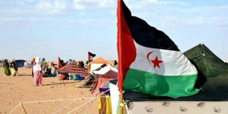 دعوات للحد من نهب الثروات الطبيعية الصحراوية