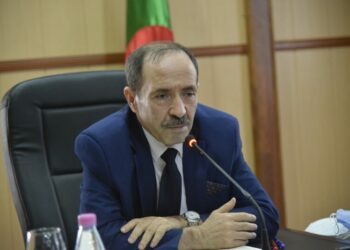 مدرسة وطنية للتعليم عن بُعد لأبناء الجالية بالخارج.. قريبا