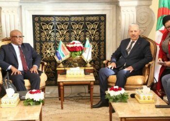 قوجيل يستقبل الأمين العام لحزب المؤتمر الوطني الإفريقي لجنوب افريقيا
