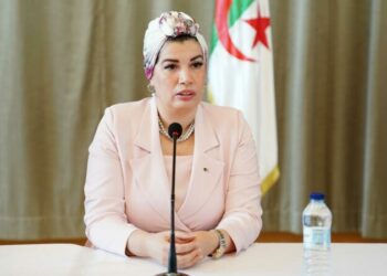 وزيرة الثقافة تفتتح ورشة عمل حول قانون السينما