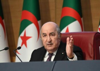 الرئيس تبون: منهج الجزائر في التعامل مع عمقها الإفريقي واضح وثابت