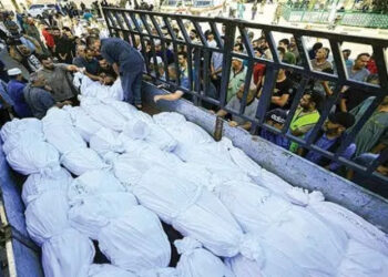 22600 شهيد منذ بداية العدوان على غزة