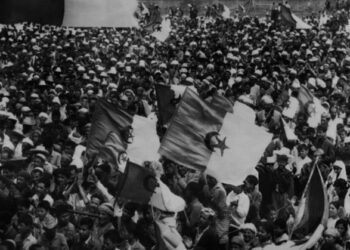 إضراب الـ8 أيام برهان على احتضان الشعب لثورة التحرير