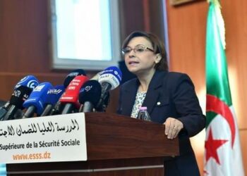 كريكو: الدولة حريصة على ترقية مكانة المرأة في المجتمع