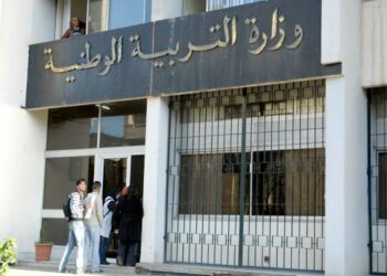 بلعابد: رقمنة التربية ستسمح بتسيير أكثر فعالية