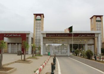 مناقشة مذكرات التخرج الجامعية.. ليلا!