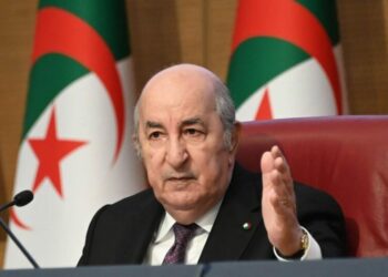 الرئيس تبون يدعو إلى تعزيز العمل المشترك بين دول الجنوب