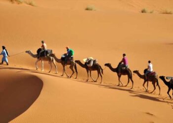 تدابير جديدة لتشجيع السياحة الصحراوية
