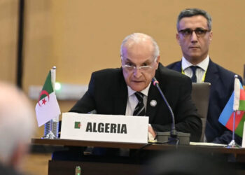 من أجل غزة..الجزائر تدعو لتفعيل دور المجموعة المصغرة لدول عدم الانحياز