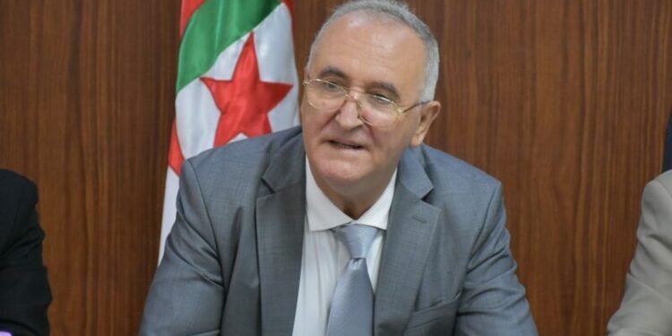 فايد: التزامات الجزائر في إفريقيا ثابتة