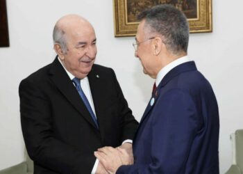 تركيا تدعم جهود الجزائر في مجلس الأمن بشأن غزة