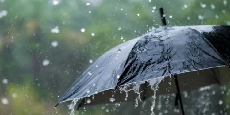 أمطار رعدية غزيرة بهذه الولايات