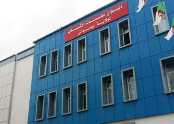 برامج واعدة لتنشيط الحياة الشبابية في بومرداس حتى أفريل