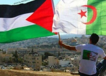قدماء الكشافة الإسلامية يُثمّنون موقف الجزائر الثابت في دعم فلسطين