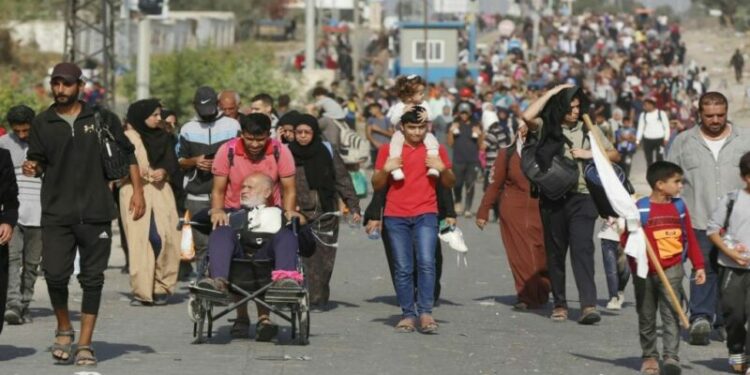 دعوات لمنع التطهير العرقي في رفح الفلسطينية