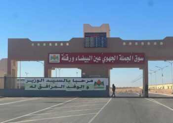 نحو تطوير أسواق الجملة الجهوية للخضر والفواكه