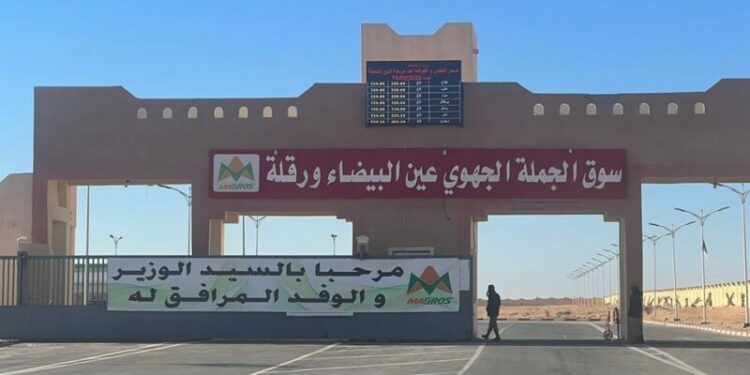نحو تطوير أسواق الجملة الجهوية للخضر والفواكه